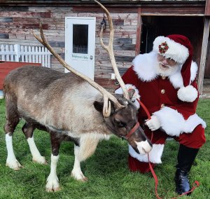 Santa and Angel_RTL_10_21 (2)